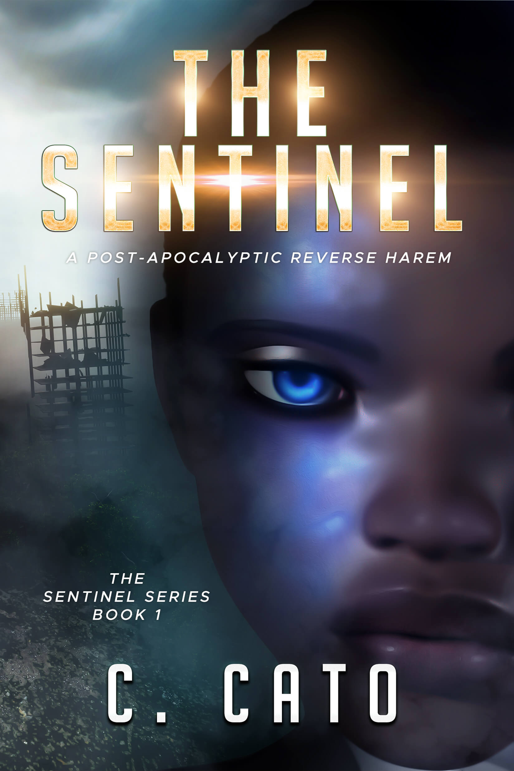 The Sentinel Book Cover
